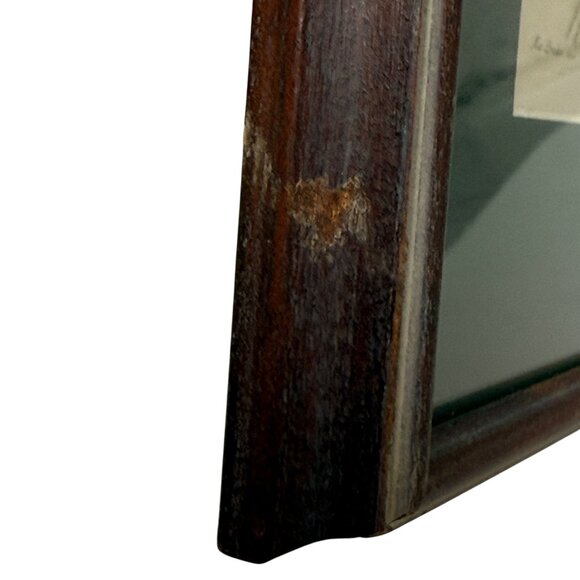 Framed Botanical Print Vintage Art Print 12.25" High White Flower - Picture 13 of 15